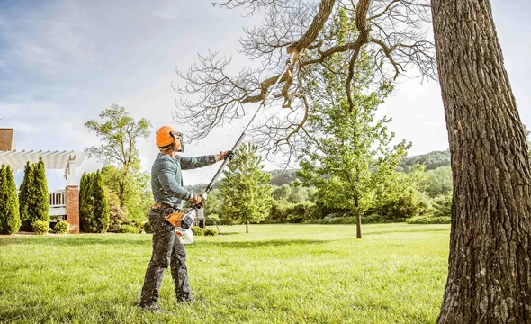 Experienced Tree Trimming Services in Portland, TX