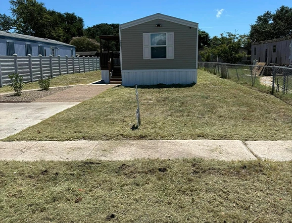 Overgrown home lawn in need of professional maintenance and care.